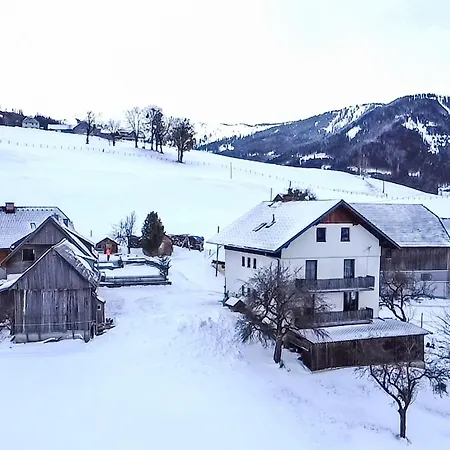 Pichlerhof By Interhome Apartment Oblarn